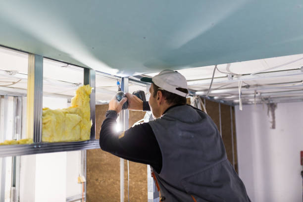 Best Cellulose Insulation in Kamas, UT